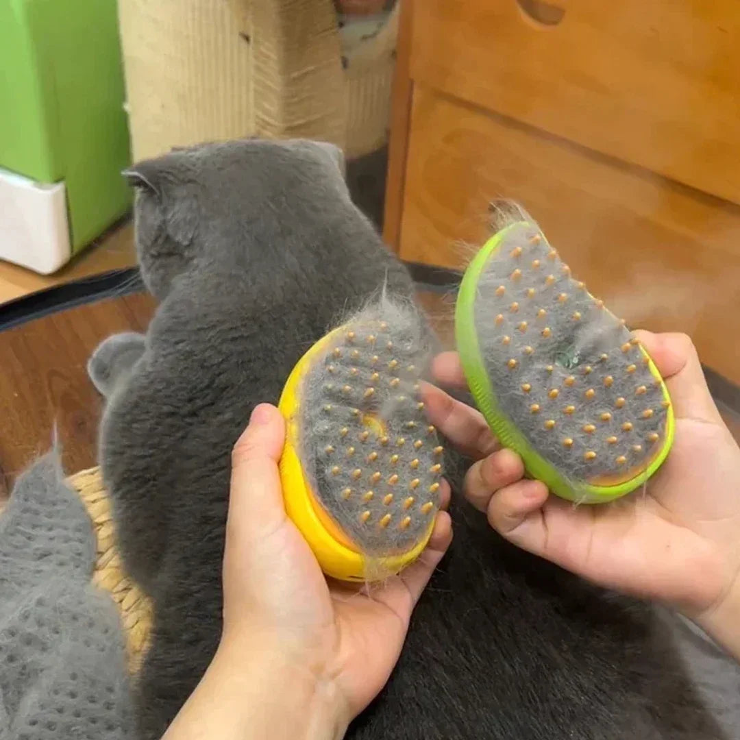 Grooming Cat/Dog Steamy Brush